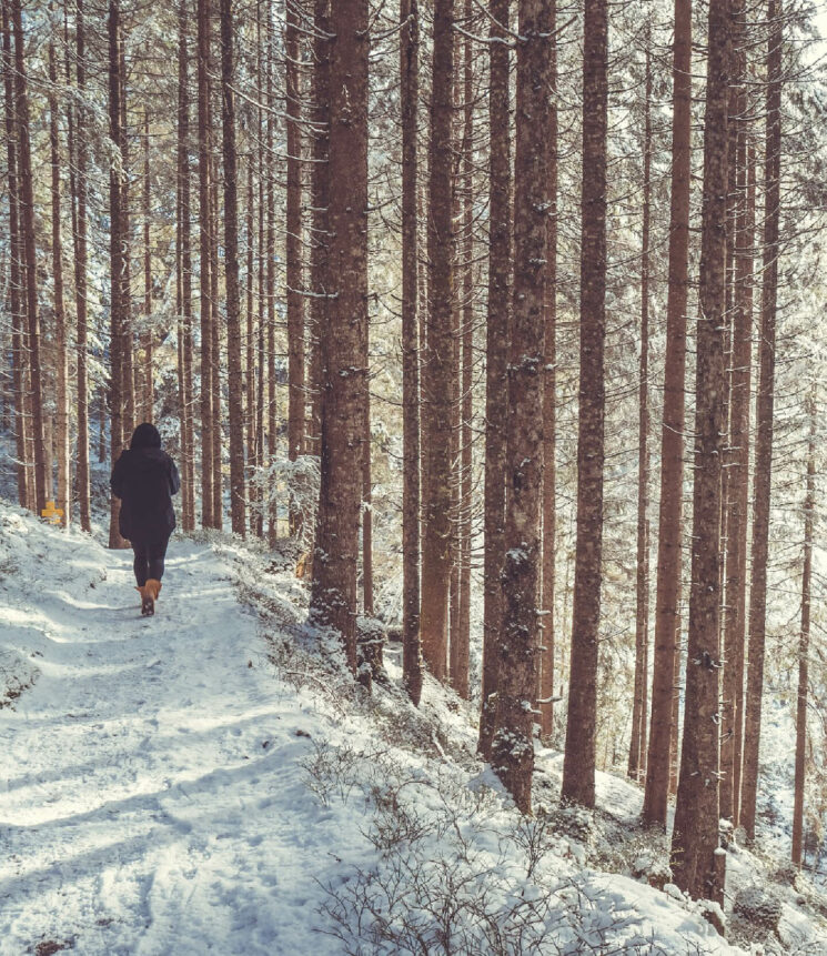 Waldbaden im Winter